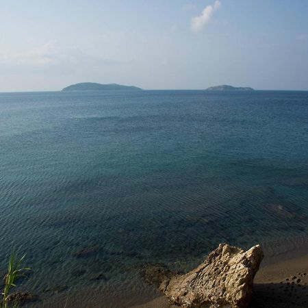 Aphrodite Skiathos Меґалі-Аммос Екстер'єр фото