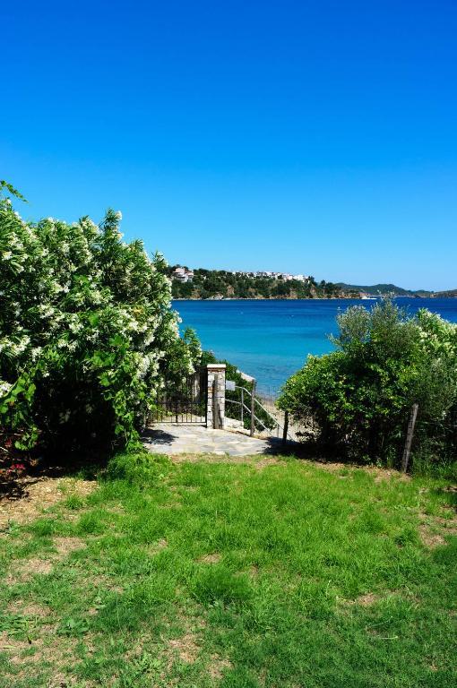 Aphrodite Skiathos Меґалі-Аммос Екстер'єр фото