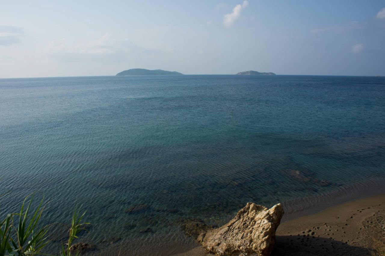 Aphrodite Skiathos Меґалі-Аммос Екстер'єр фото